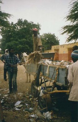 la collecte des ordures ménagères dans des charettes (crédit photo : Partenariat)